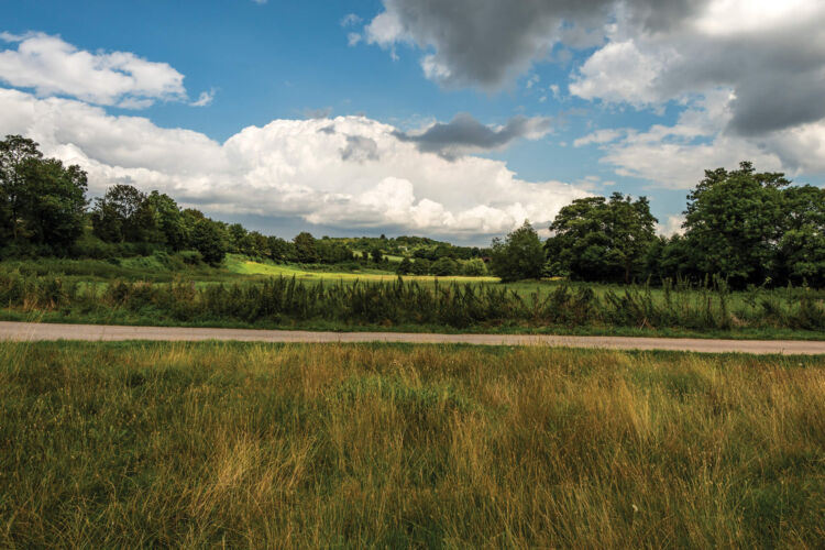 Area Photos shutterstock 1291366810