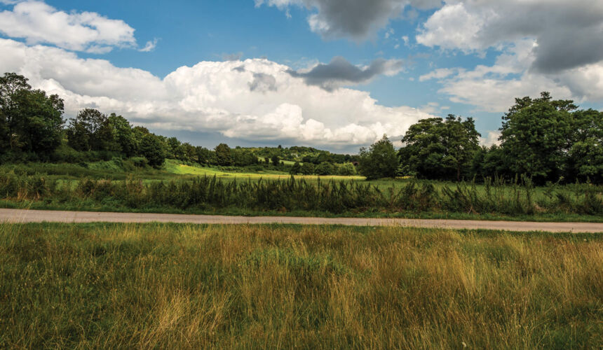 Area Photos shutterstock 1291366810